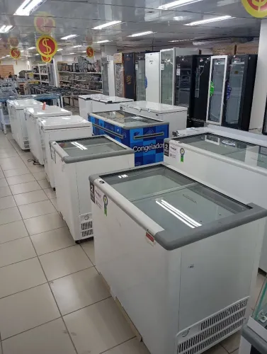 Freezer Horizontal 