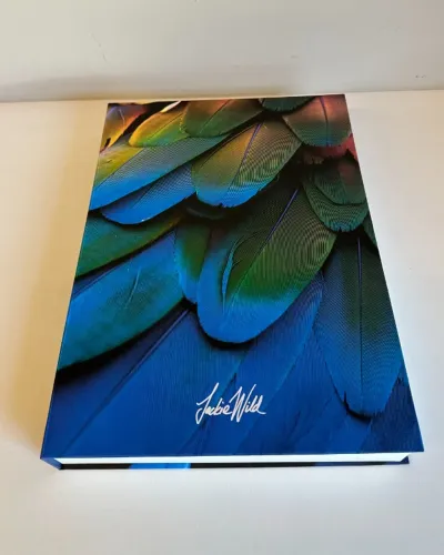 Livro Caixa Decorativo Jucie Wild