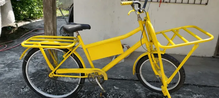 Bicicleta de carga