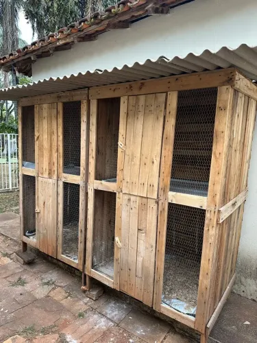 Baias duplas para galinhas pequeno porte