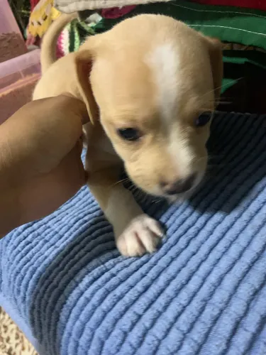 Doação
