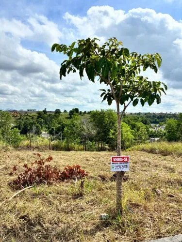 Lote em Enseada de Praia Grande.