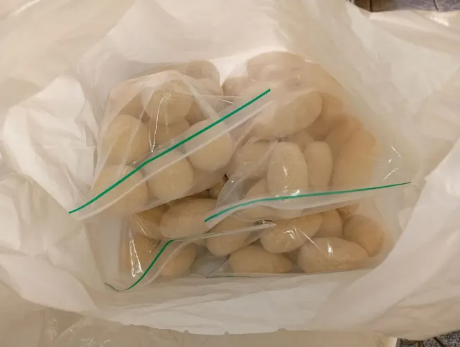 Salgados para fritar em ocasiões (28 a 31 gramas)