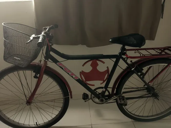 Bicicleta com Garupa