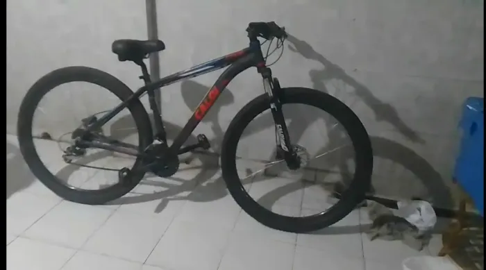 Bicileta caloi aro 29