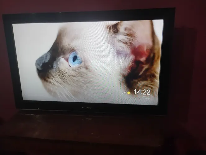 Televisão 