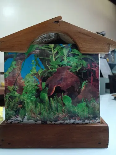 Aquário Casinha Beta