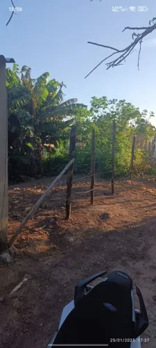 Vendo lote no bairro lameirão 