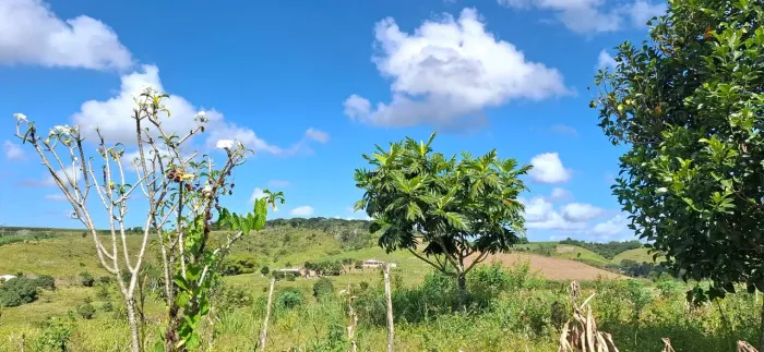 VENDE-SE SÍTIO!