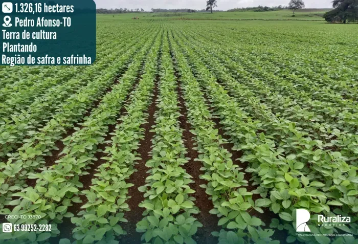 FAZENDA 274 ALQUEIRES | 650 HA EM LAVOURA | 730 HA AGRICULTÁVEIS