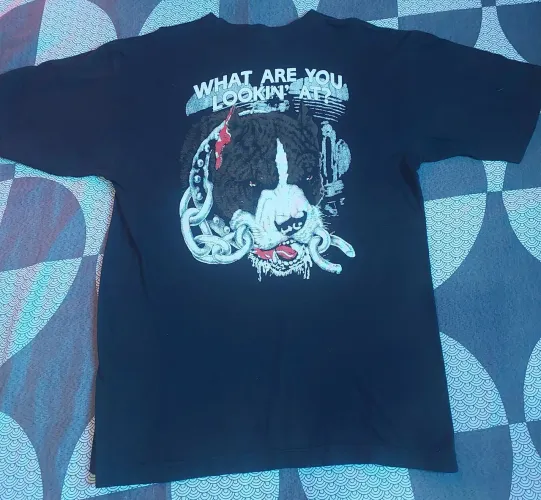 Camisa
