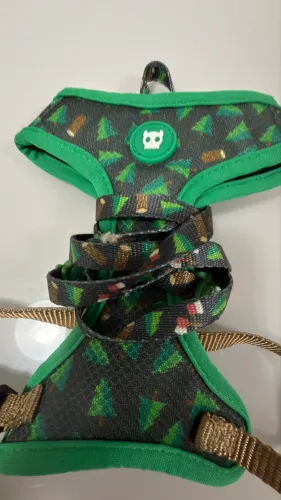 Kit Coleiras Zeedog