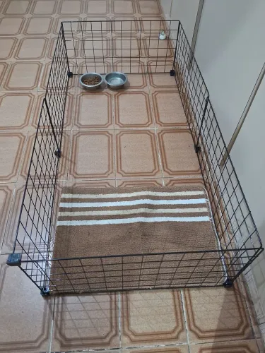 Cercadinho para Porquinho da Índia 