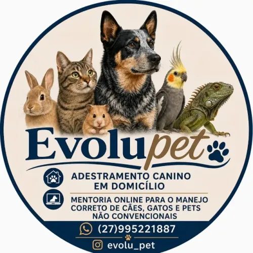 Adestramento canino e mentorias