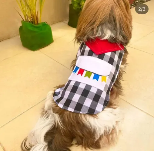 Roupa pet para arraiá 