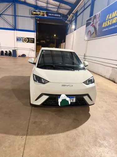 BYD Dolphin Mini (Elétrico) 2024