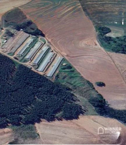 Sítio à venda, 121000 m² por R$ 9.250.000,00 - Barão de Lucena - Nova Esperança/PR