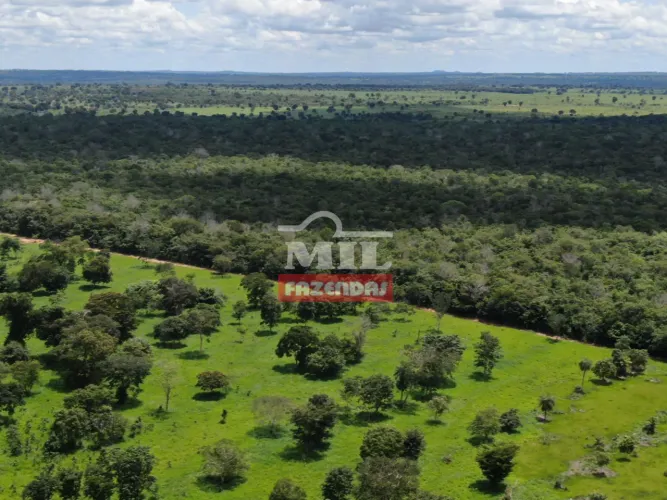 Fazenda 95 Alqueires (460 Hectares) Nova Crixás - GO