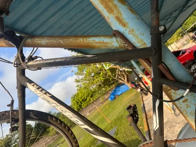 Bicicleta