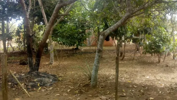 //Lote em Açutuba com 800 m2