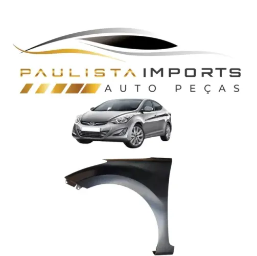 Paralama Elantra 2011 2012 2013 2014 2015 2016 