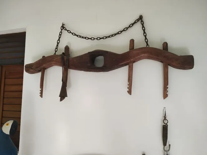 Canga de bois original 