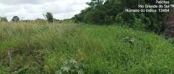 Terreno à venda em FRAGATA, Pelotas