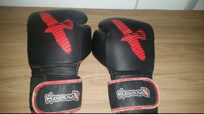 Luva hayabusa 16oz