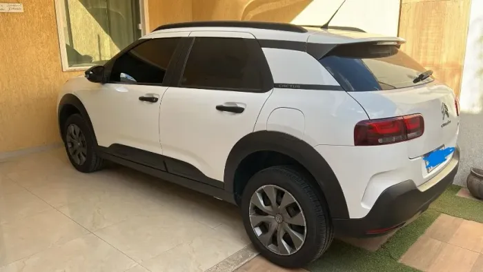 Citroen C4 Cactus Feel Bus. 1.6 Flex Aut.(pcd) 2020