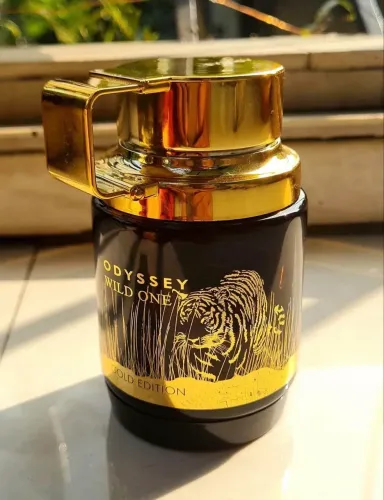 Perfume Masculino Odyssey Wild One