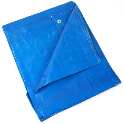 Lona de Polietileno Azul Impermeável Piscina Barraca Telhado 100 Micras/m2 3x3m