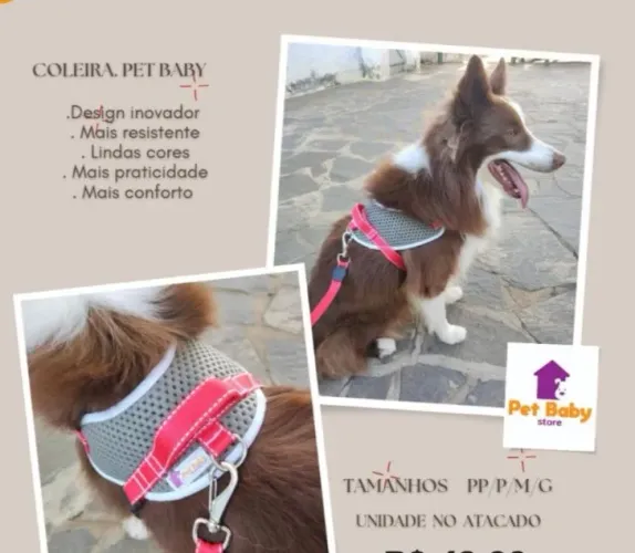 Coleira peitoral para pet