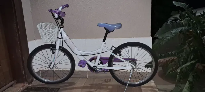 Bicicleta Caloi Ceci Aro 20