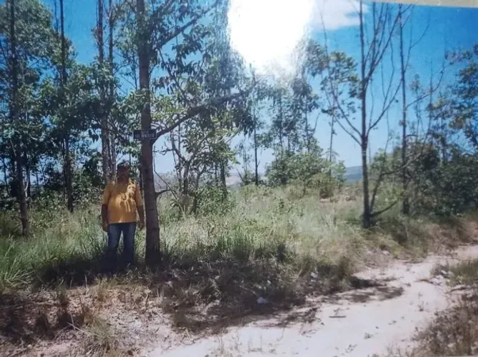 1 ÁREA DE 3,0 HA, EM CORINTO - MG