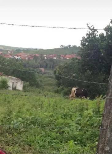 VENDE SE SÍTIO  - Maruim 