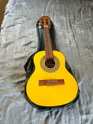 Cavaquinho Giannini.