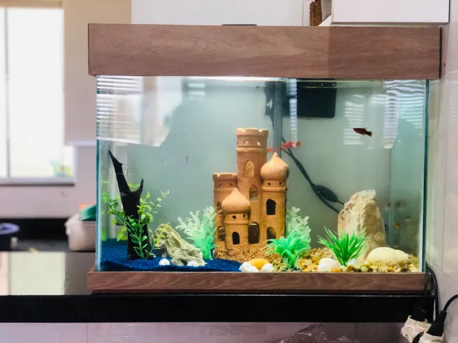Aquário 70 litros 