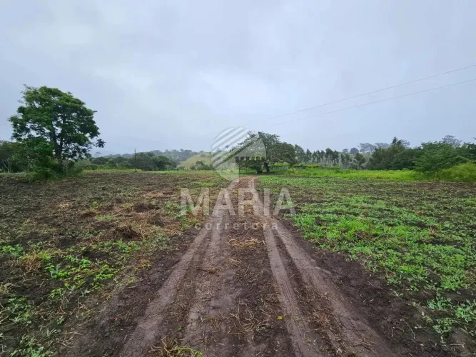 Área de 1 Hectare em Chã Grande/PE!