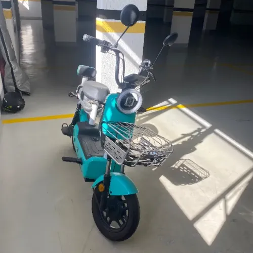 Moto Elétrica JOY 500w