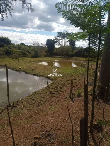Sítio com 4 dormitórios à venda, 78000 m² por R$ 740.000 - Piraporinha - Conchal/SP