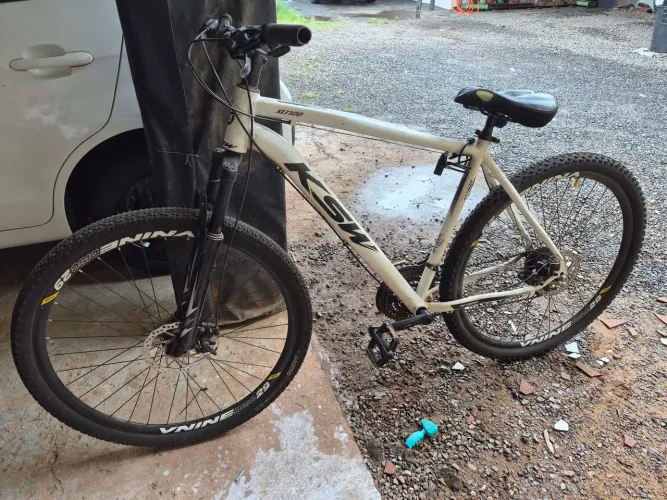 Bicicleta aro 29