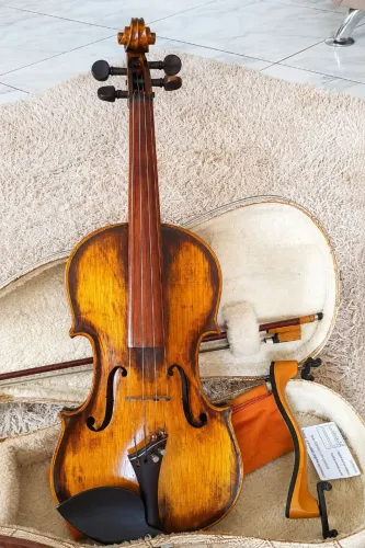 Violino