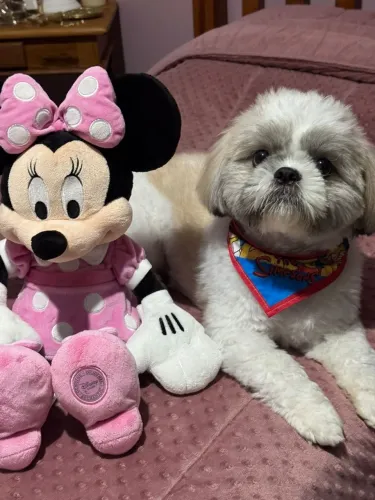 Boneca Minnie 