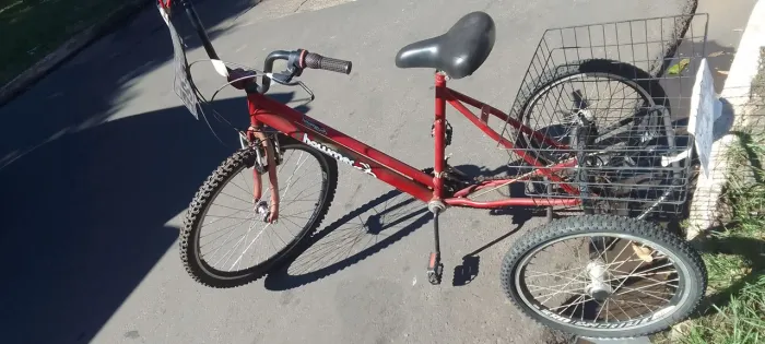 Bicicleta triciclo