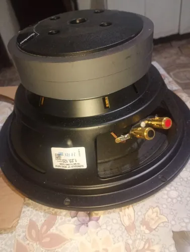 Vendo ser um super 12 polegadas 700 RMS bicho papão