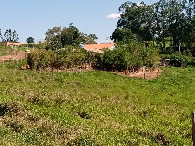 Sítio 5,3 Alqueires Casa Sede,Bom de Agua,Ótimo Pasto Pecuária Corte e Leite,Resfriador de
