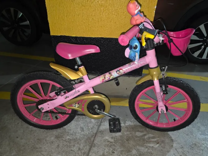 Bicicleta infantil feminina