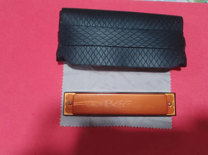 Gaita dourada + capa de couro e pano