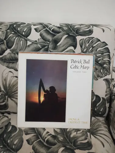 LP vinil