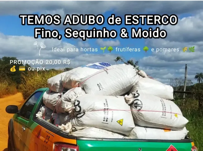 Adubo Orgânico de Esterco de Gado de LEITE 